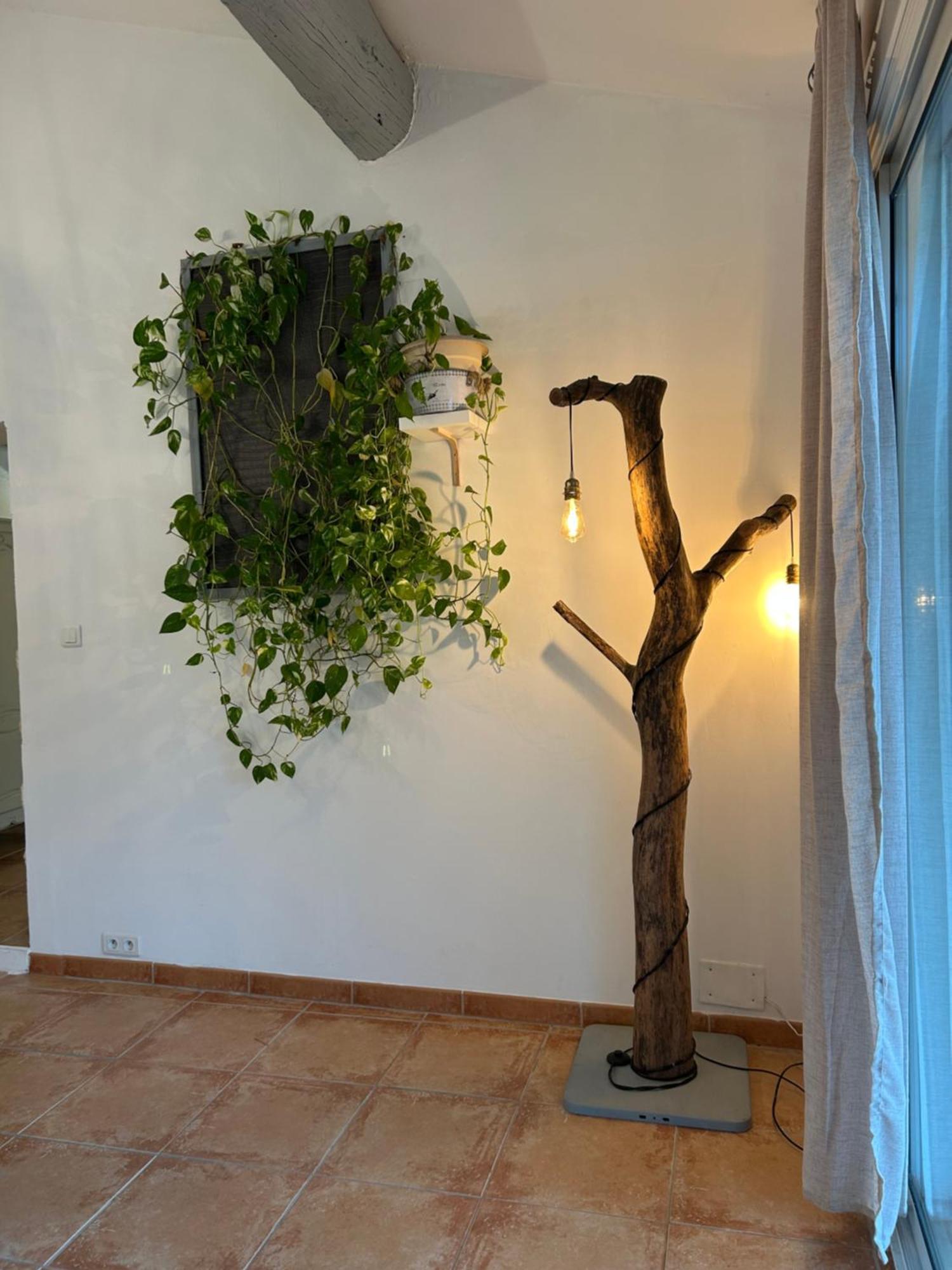 Le Mazet Des Joncs En Provence Villa Saint-Pierre-de-Vassols Dış mekan fotoğraf