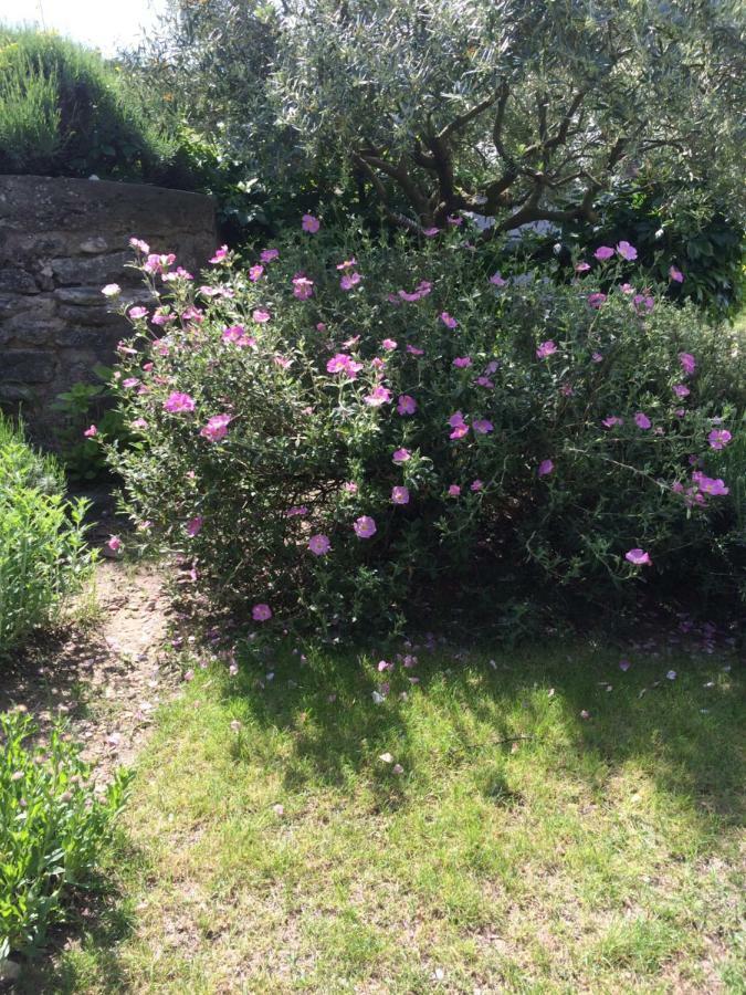 Le Mazet Des Joncs En Provence Villa Saint-Pierre-de-Vassols Dış mekan fotoğraf