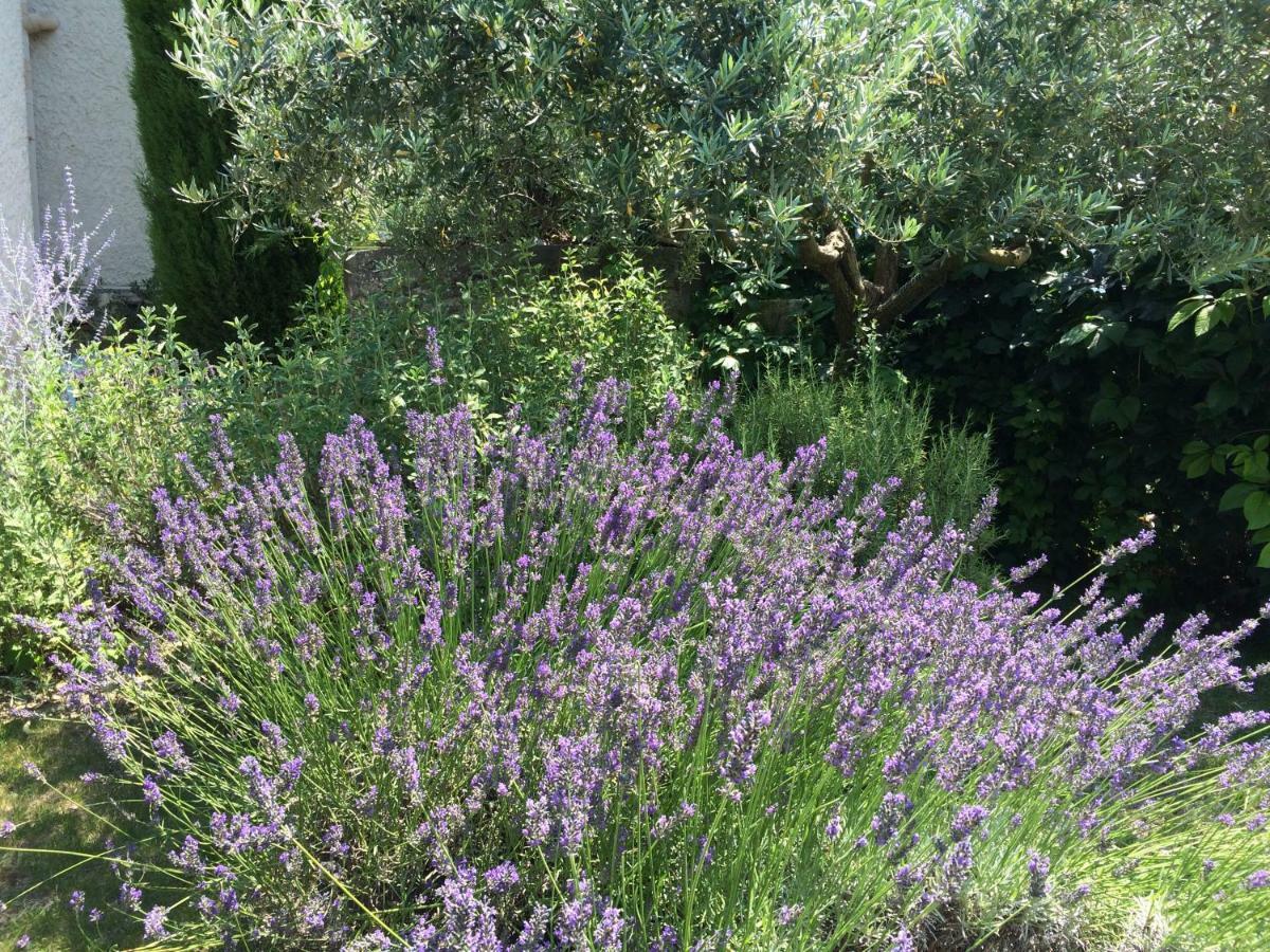 Le Mazet Des Joncs En Provence Villa Saint-Pierre-de-Vassols Dış mekan fotoğraf