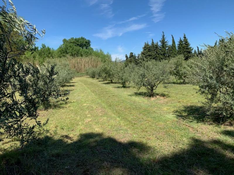 Le Mazet Des Joncs En Provence Villa Saint-Pierre-de-Vassols Dış mekan fotoğraf