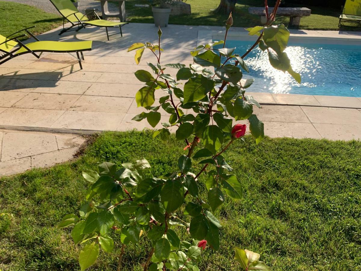 Le Mazet Des Joncs En Provence Villa Saint-Pierre-de-Vassols Dış mekan fotoğraf